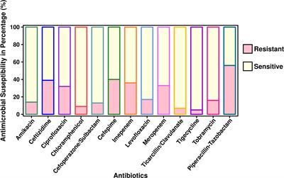 Resistance genomics and molecular epidemiology of high-risk clones of ESBL-producing Pseudomonas aeruginosa in young children